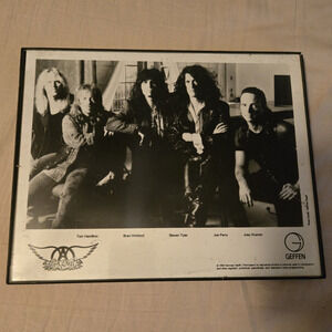 Vintage 1993 Aerosmith Geffen Records Promo Press Photo Framed 8x10 Norman Seeff